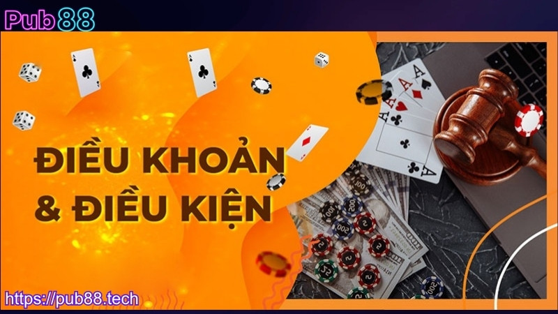 Điều khoản điều kiện PUB88 khi cá cược